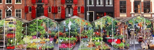 Mercado de las flores de Ámsterdam 