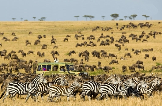 Place Serengeti National Park