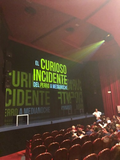 El curioso incidente del perro a medianoche - Teatro Marquina Madrid
