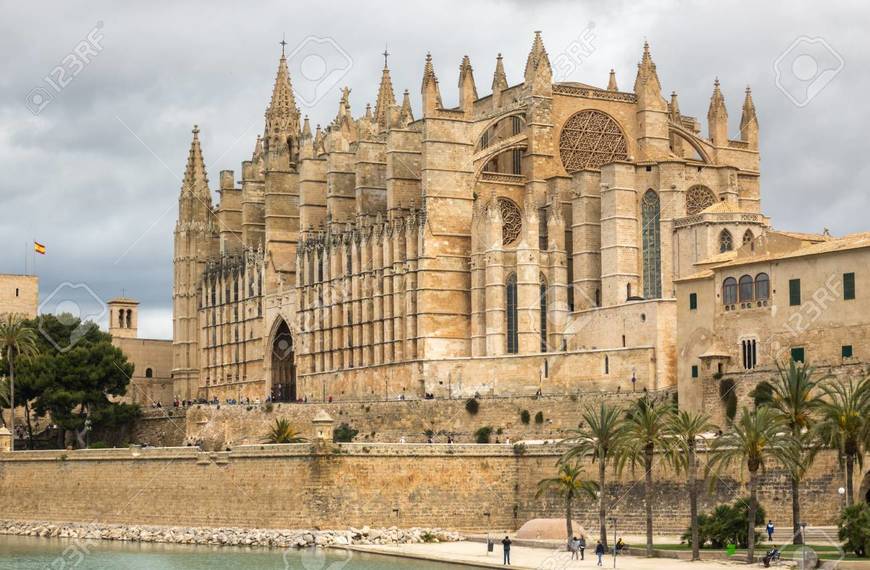 Lugar Catedral-Basílica de Santa María de Mallorca