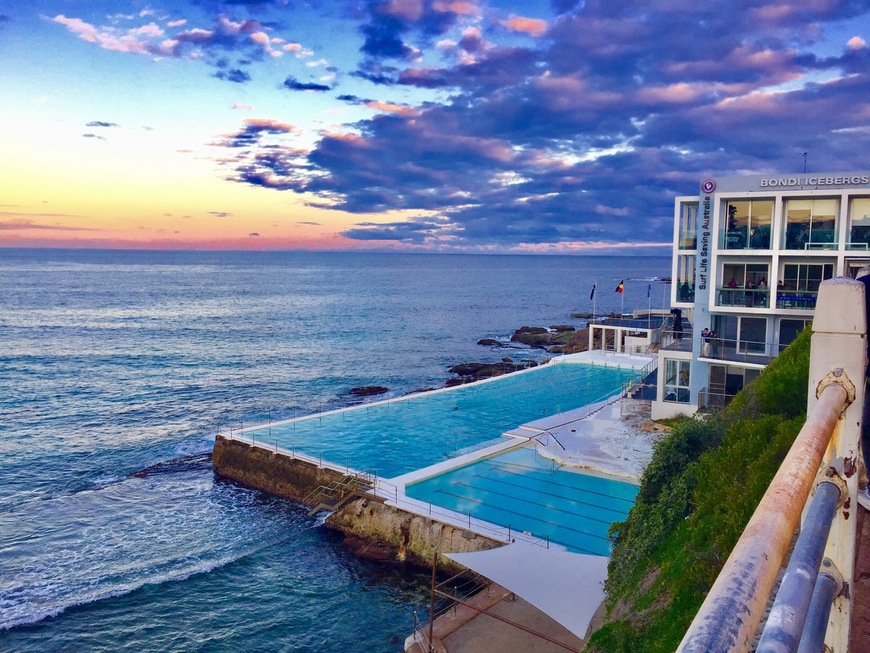 Restaurants Bondi Icebergs Club