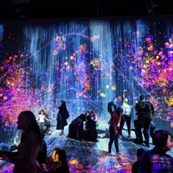 Lugar teamLab Borderless Tokyo: MORI Building DIGITAL ART MUSEUM