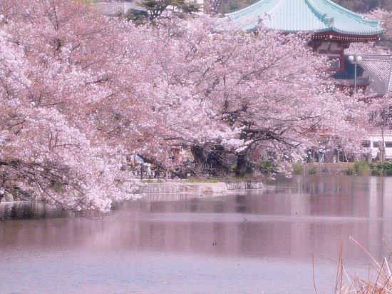 Lugar Ueno-Park