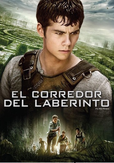 El Corredor Del Laberinto Trailer 2014 Español - YouTube