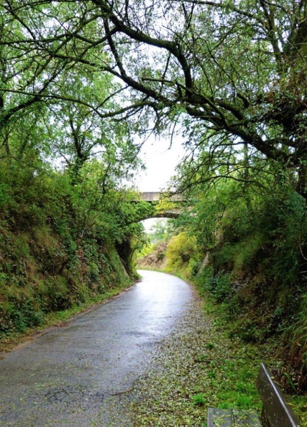 Lugar Calle Valdelobos