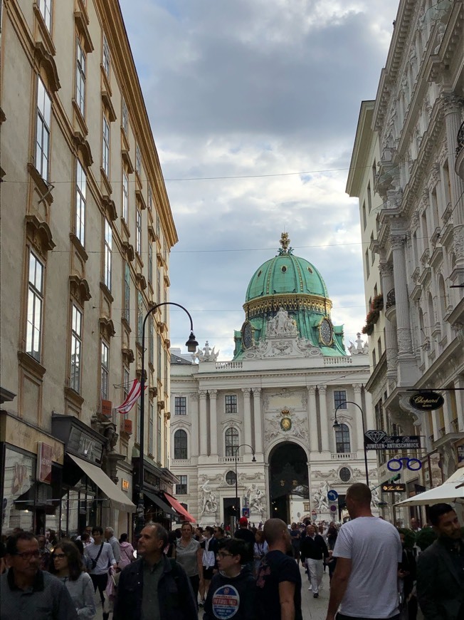 Lugar Hofburg Palace Silver Collection of Vienna