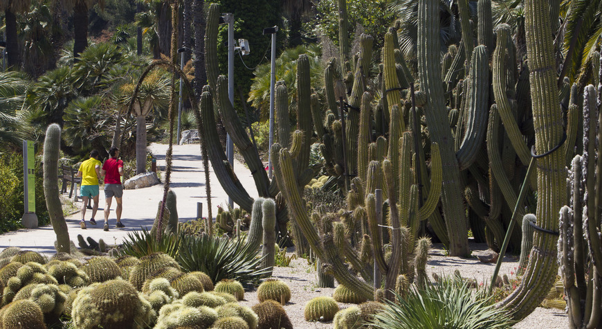 Lugar Jardines de Mossen Costa i Llobera