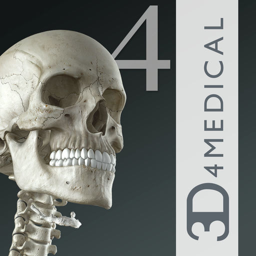 Apps Essential Skeleton 4