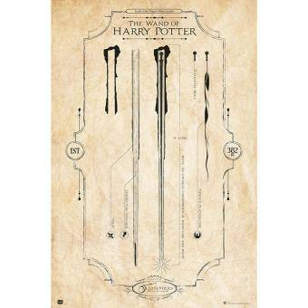 Posters Harry Potter - Posters Cinéma, séries TV - Musique | fnac
