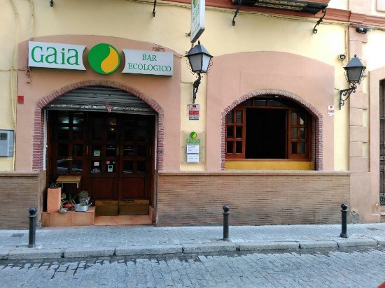 Restaurants Restaurante Ecovegetariano Gaia