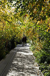 Moda Visit the High Line | Friends of the High Line