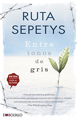 Libro Entre tonos de gris