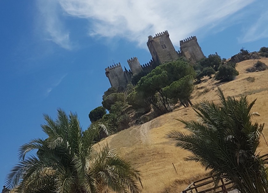 Place Castillo de Almodóvar