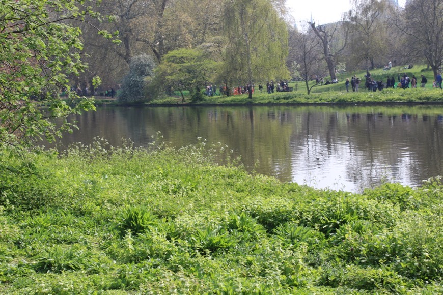 Place St James's Park