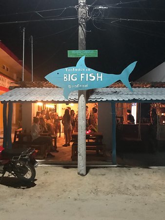 Big Fish Holbox
