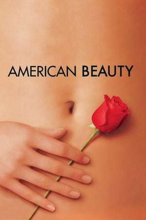 Movie American Beauty