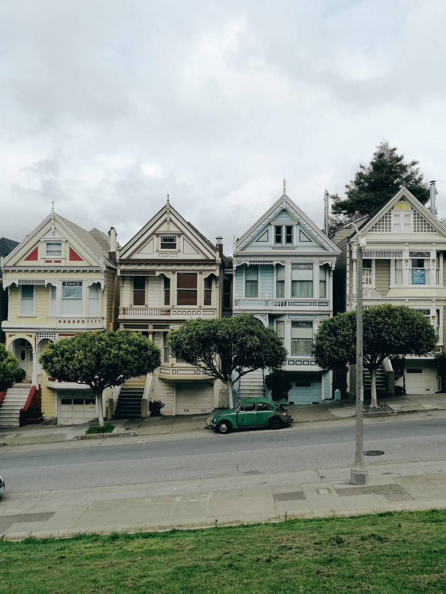 Place Painted Ladies