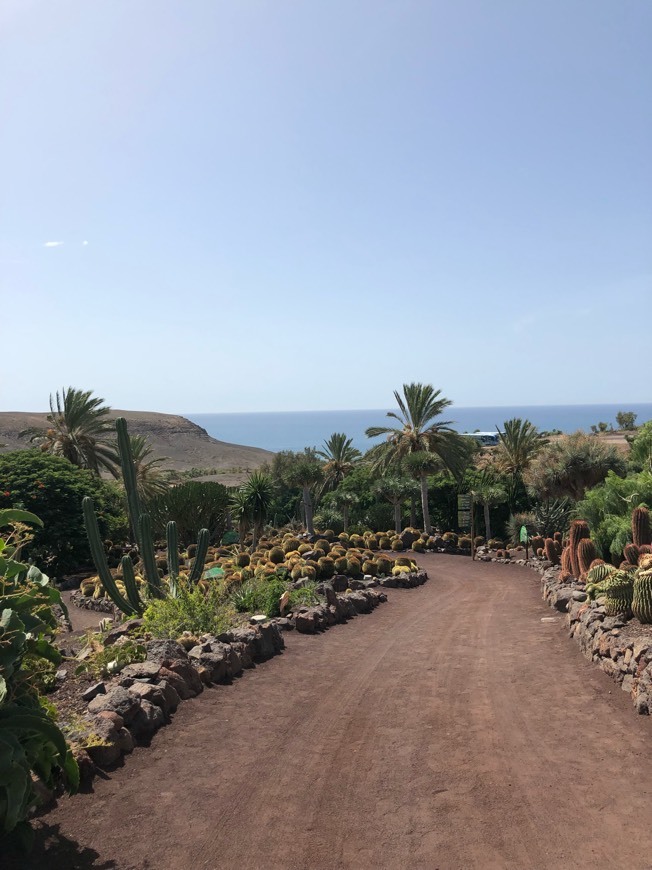 Lugar Oasis Park Fuerteventura