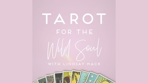 Fashion Tarot for the Wild Soul: Deep Conversations and Tarot Medicine for ...