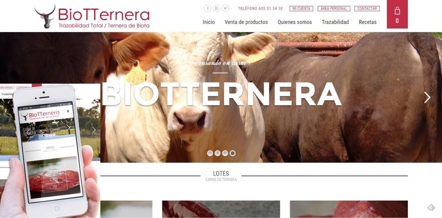 BioTTernera