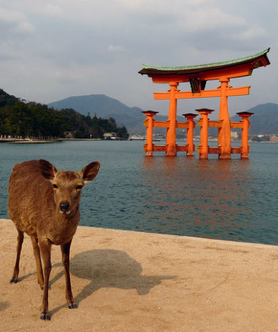 Lugares Miyajima Island