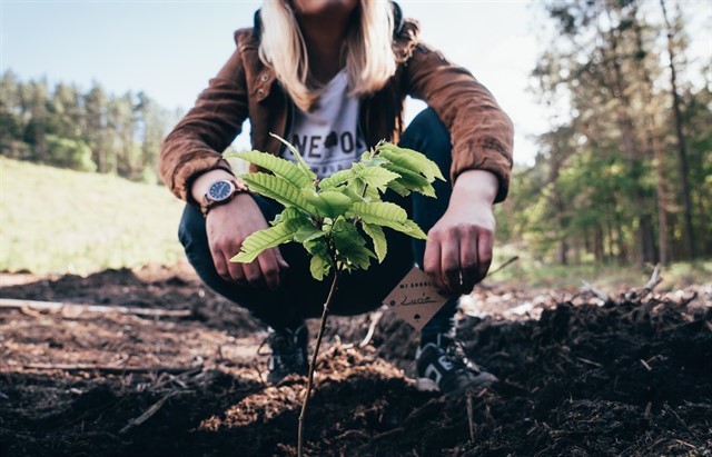 Fashion ONE OAK | Relojes de Madera ONE OAK Brand | ONE OAK Watches