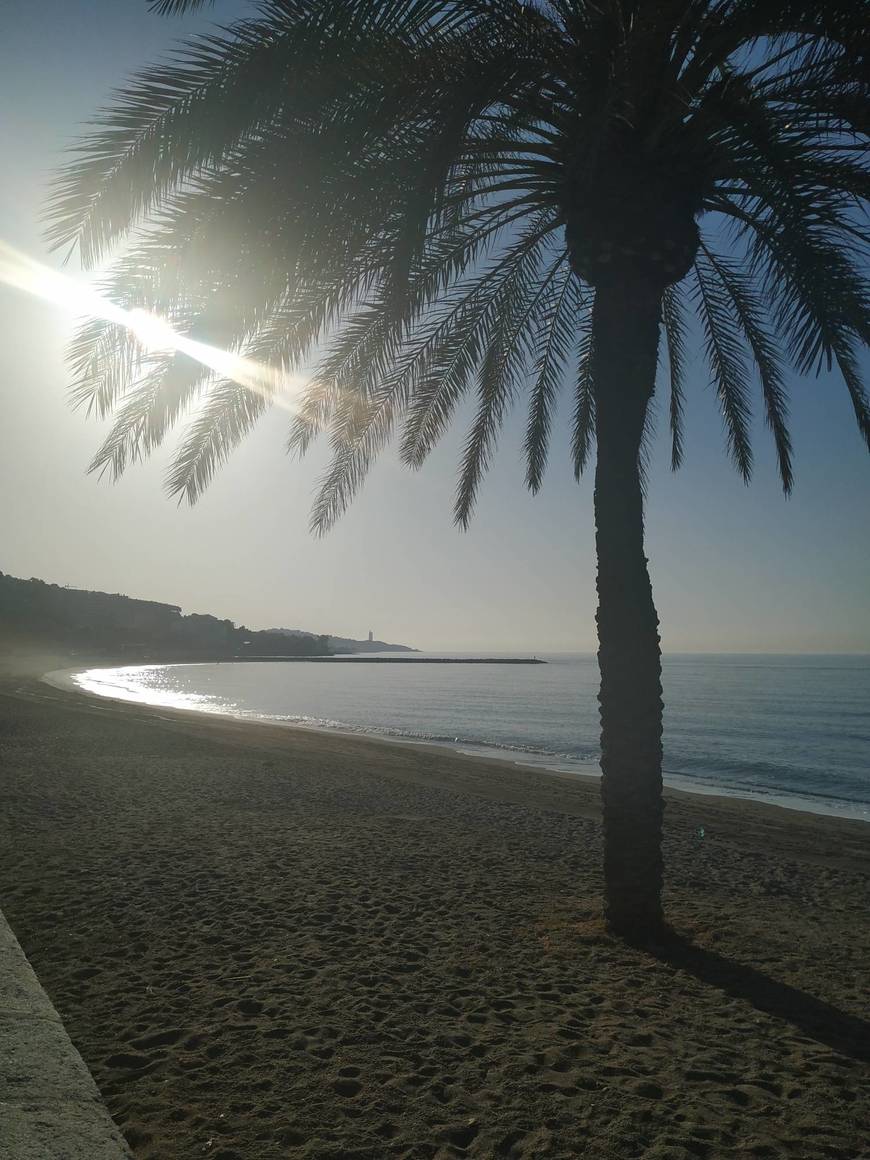 Playa de la Caleta