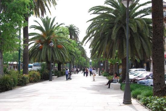 Lugares Paseo del Parque