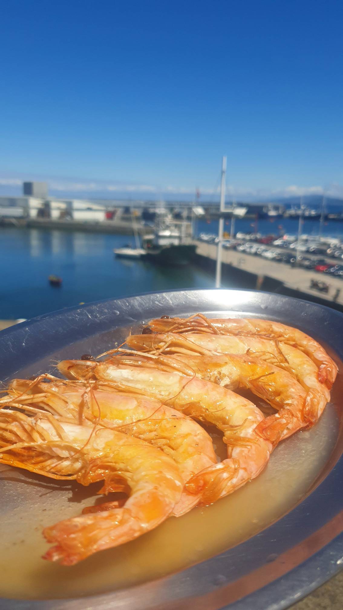 Restaurantes Asador Mayflower