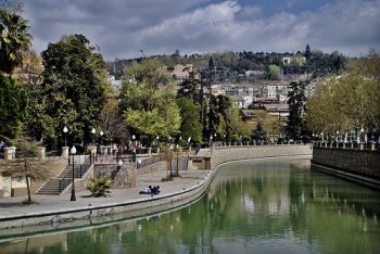 Place Paseo del Violón