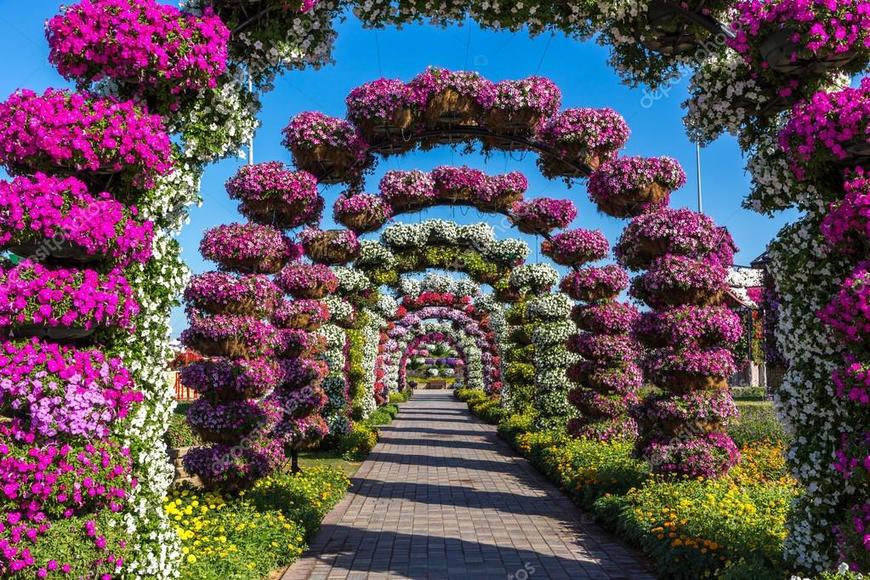 Miracle Garden