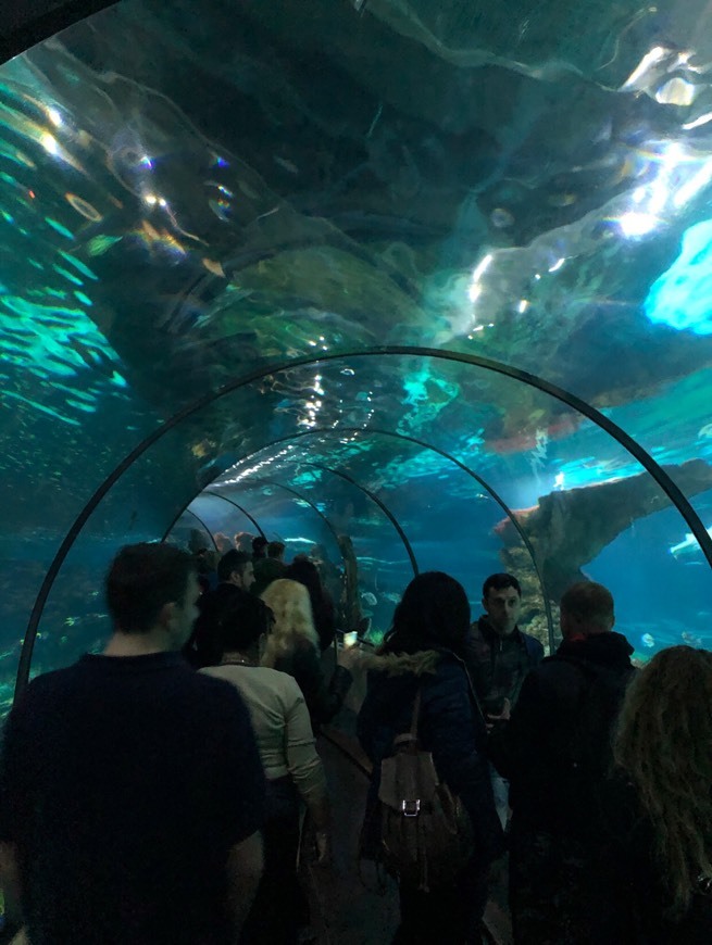 Lugar Aquarium de Barcelona