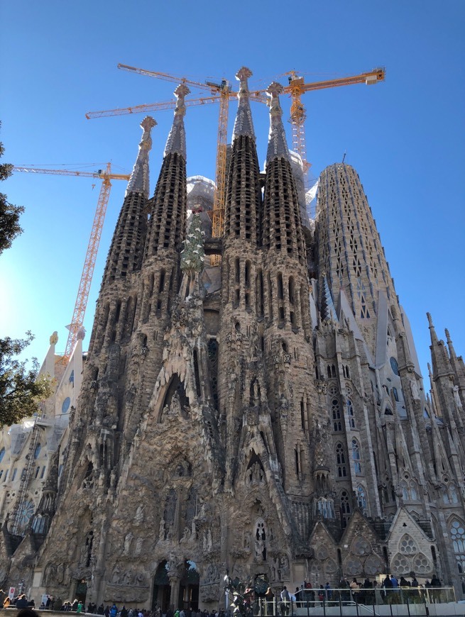 Lugar Basílica Sagrada Familia