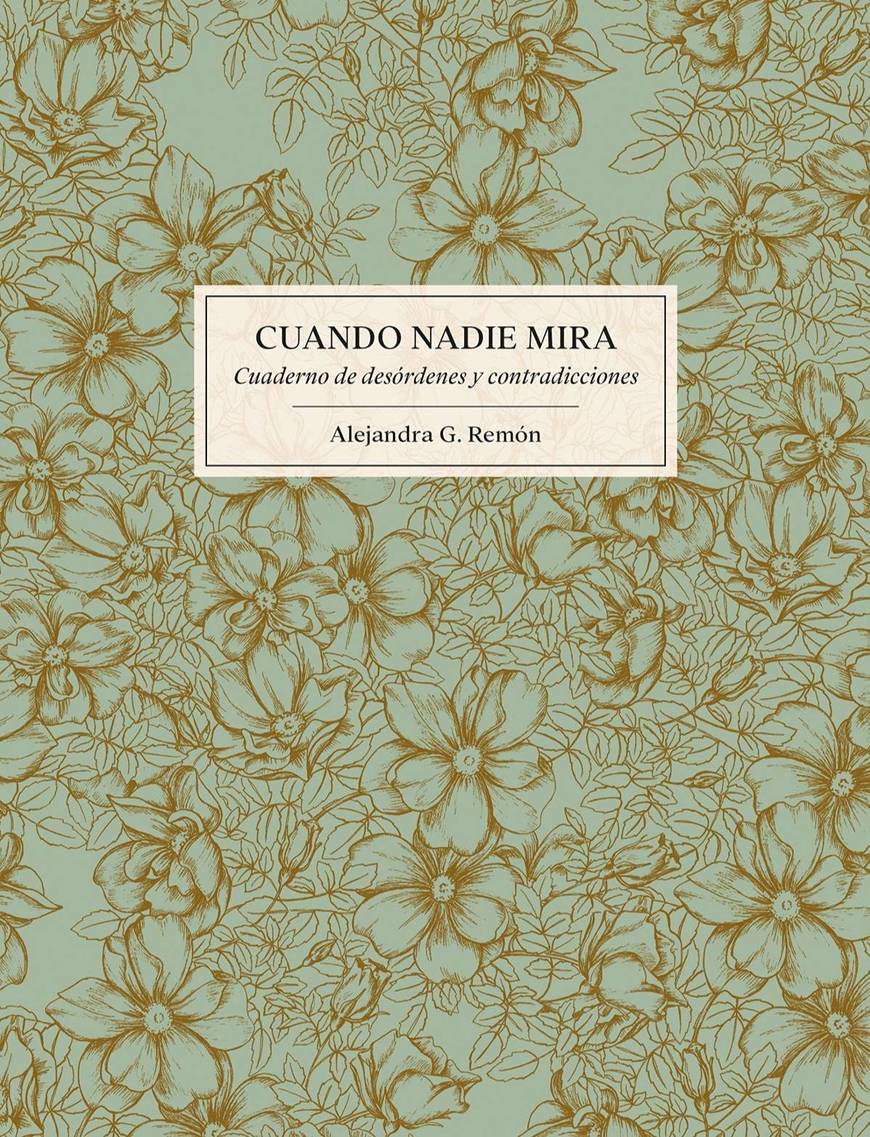 Libro CUANDO NADIE MIRA