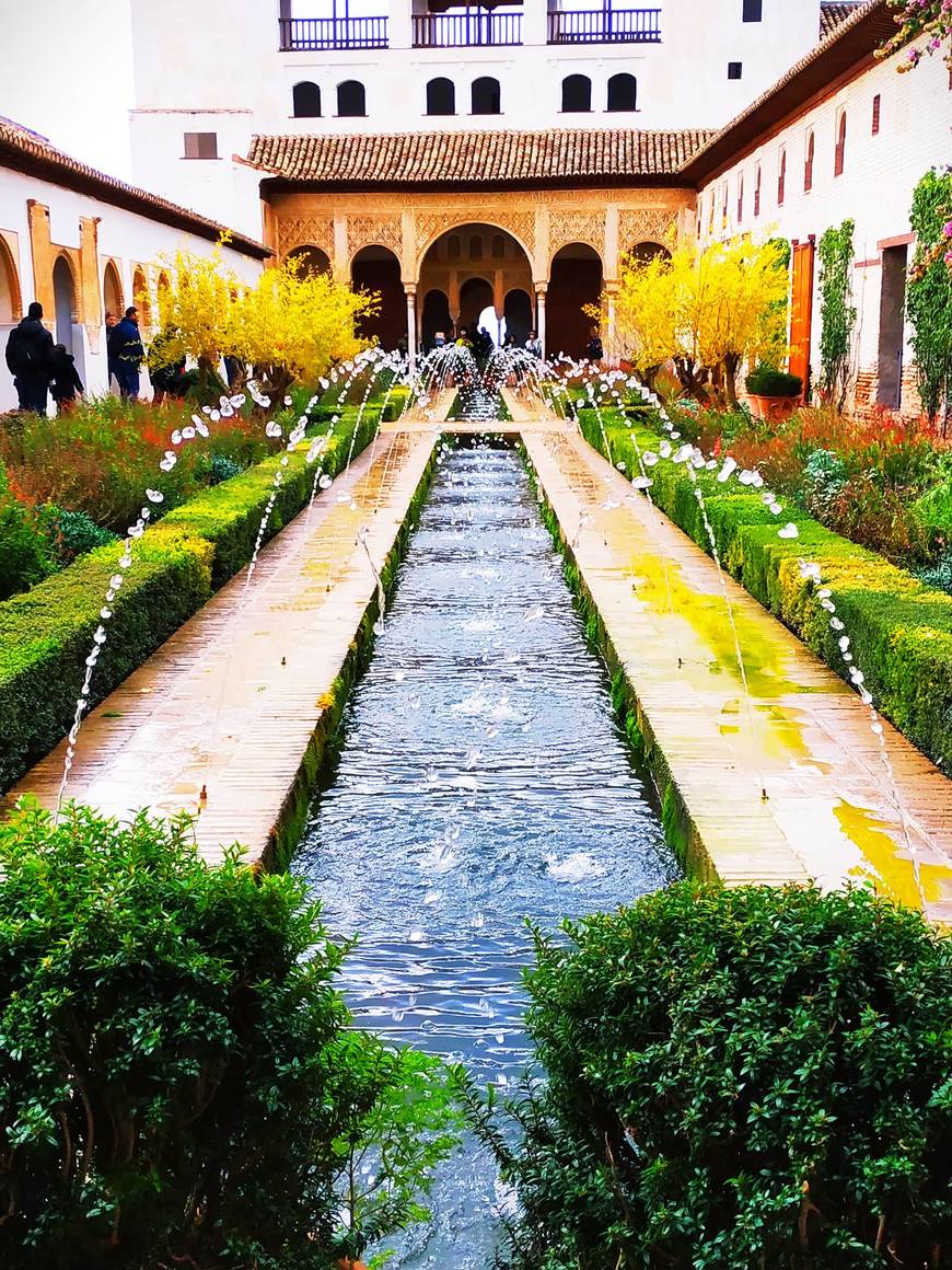 Place Alhambra - Generalife 2