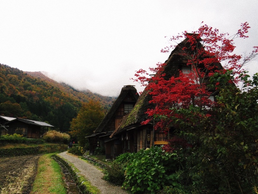 Shirakawa-go