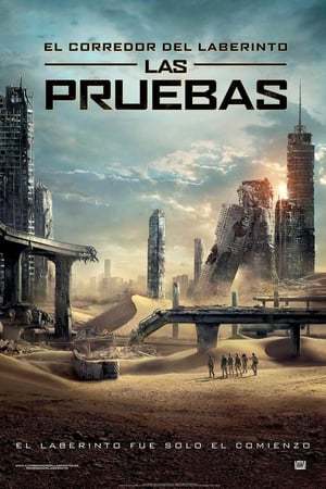 Película El corredor del laberinto: Las pruebas