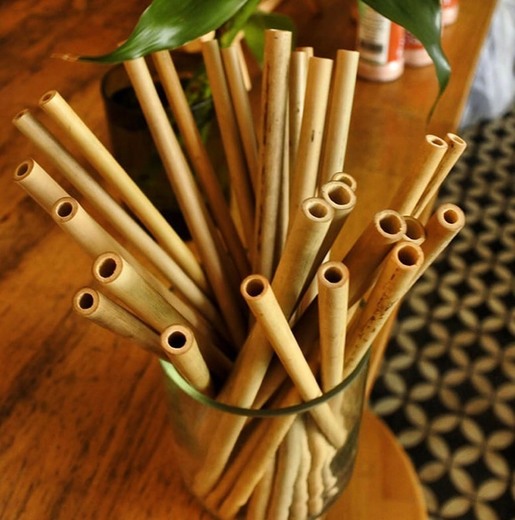 Set 2 pajitas bambú