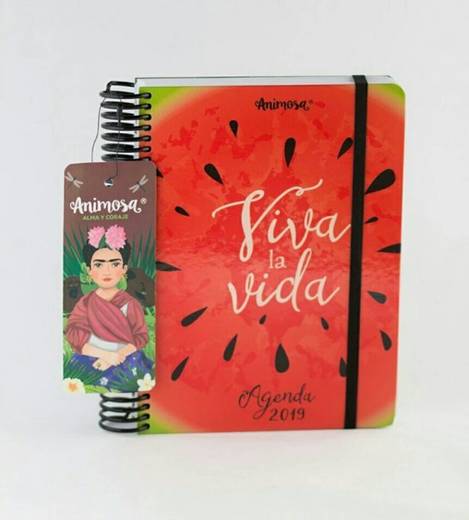 Agenda 2019 Frida Sandias
