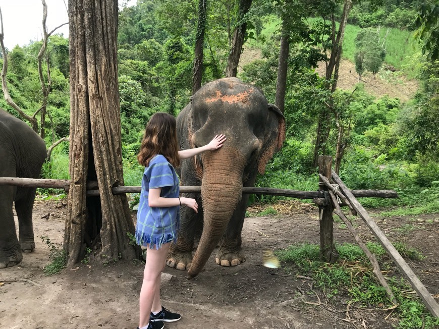 Chiangmai Elephant Sanctuary