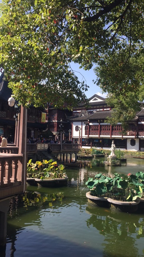 Lugar Yuyuan Garden