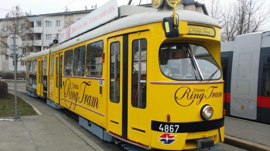 Restaurants Vienna Ring Tram Sightseeing