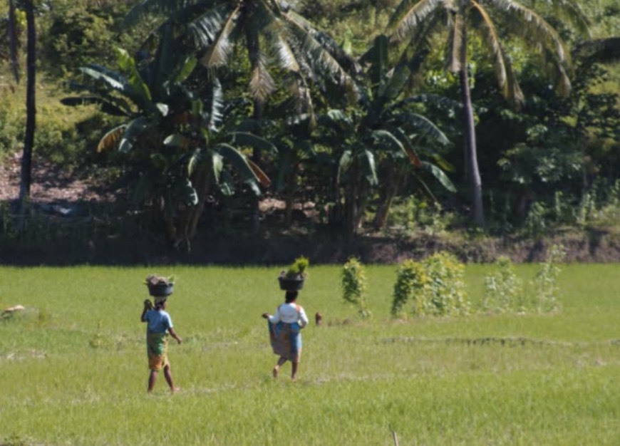 Lugar Indonesia