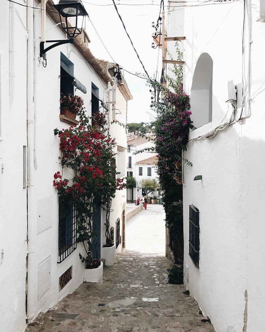 Place Calella de Palafrugell