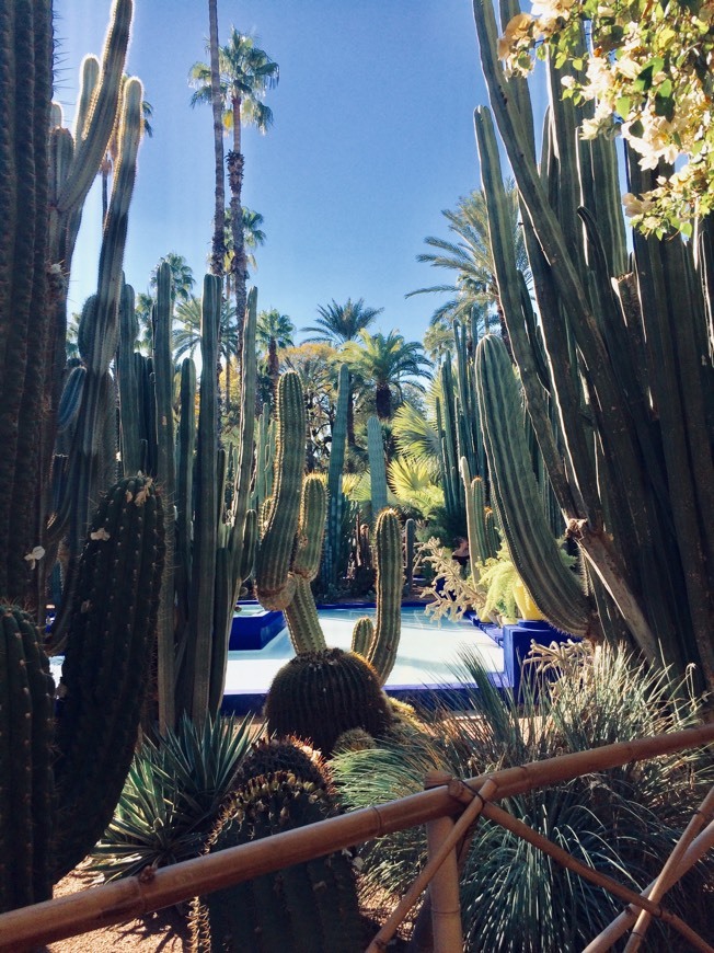 Place Jardín Majorelle