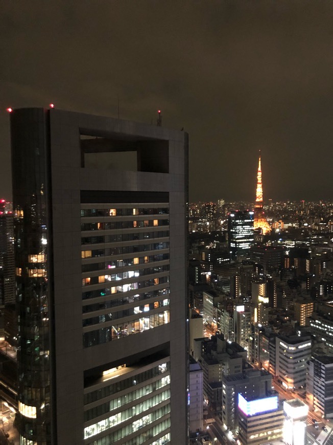 Lugar Shiodome Tokyo Royal Parc Hotel