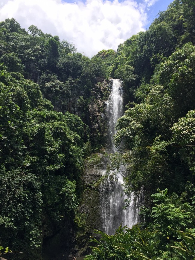 Lugares Road to Hāna