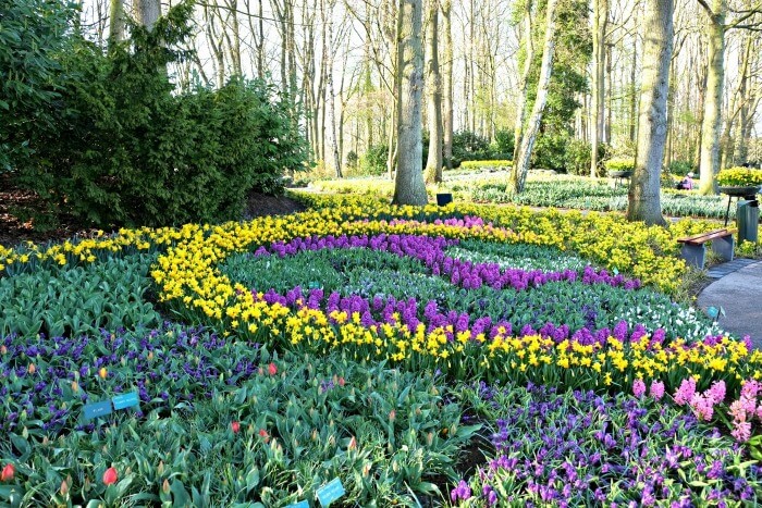 Place Keukenhof