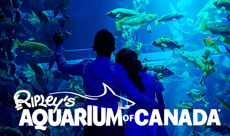 Place Acuario de Ripley