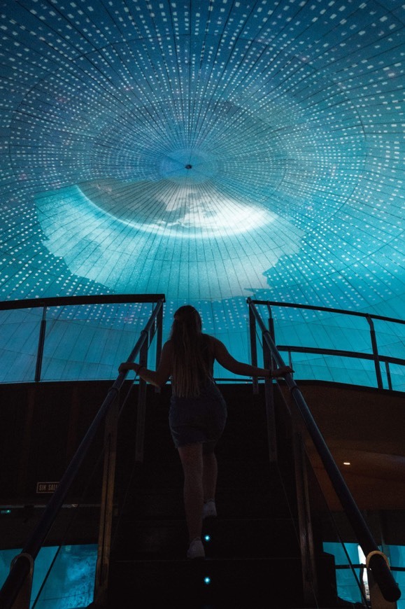 Place Ciudad de las Artes y las Ciencias